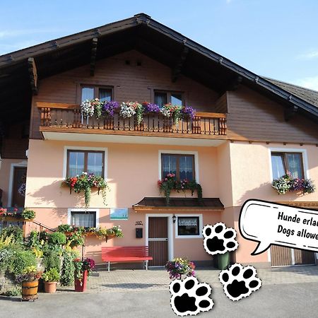 Appartement am Hauser Kaibling Extérieur photo